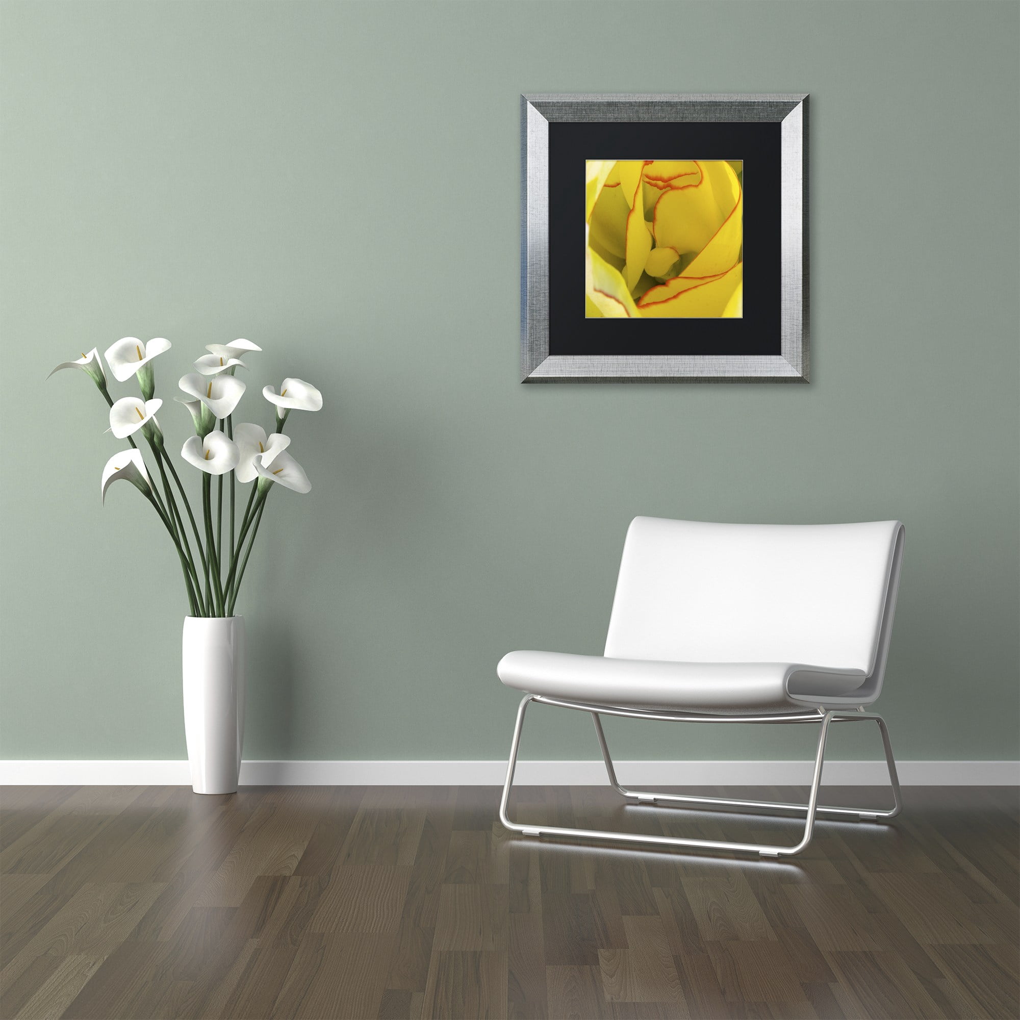 Trademark Fine Art "Inside a Beautiful Tulip" Canvas Art by Kurt Shaffer, Black Matte, Silver Frame
