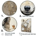 thumbnail image 3 of Designart "Beige Wolf'S Minimal Expression" Animals Wolf Canvas Wall Art, 3 of 7