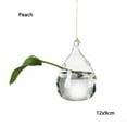 thumbnail image 1 of Ball Hydroponics Home Decoration Garden Supplies Hanging Glass Plant Pot Glass Vase Terrarium Container PEACH(12X9CM), 1 of 1