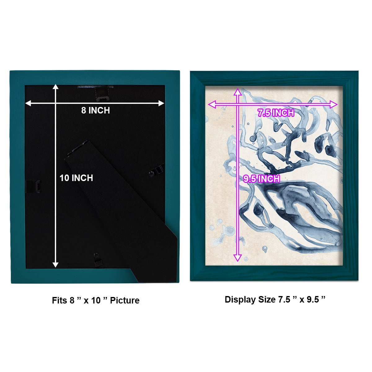 Water Shells II - Framed Print w/glass - Ocean Blue