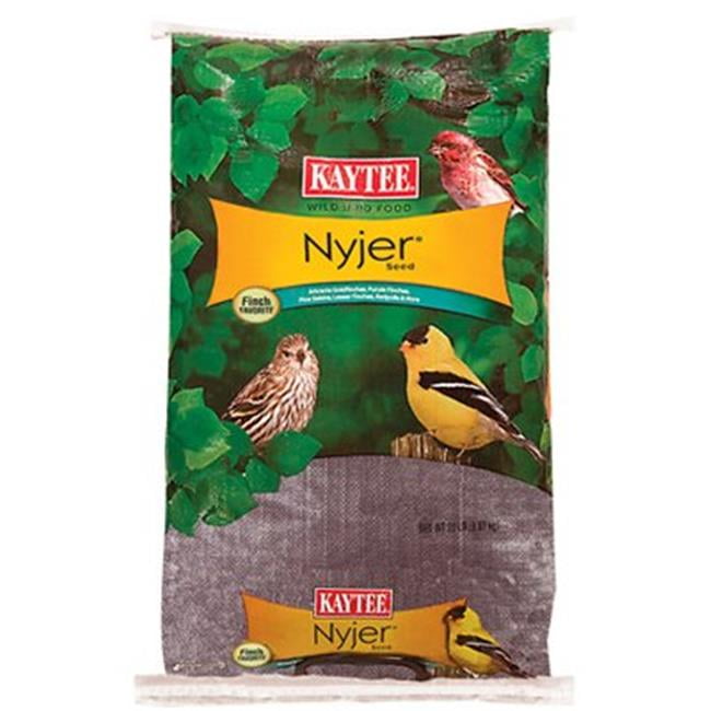 Kaytee Products 207752 20 lbs True Value Nyjer Thistle Bird Seed