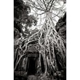 thumbnail image 2 of Berzel, Erin 17x24 Gold Ornate Wood Framed with Double Matting Museum Art Print Titled - Doorway and Roots I, 2 of 4