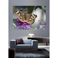 thumbnail image 2 of Wallhogs Butterfly II Wall Mural, 2 of 2