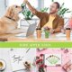 thumbnail image 3 of 24 Pcs Flower Pens Various Colors Daisy Rose Carnation Ballpoint Pen Novelty Artificial Rose Pen 0.5, 3 of 5