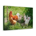 thumbnail image 2 of Rooster Couple Rooster Couple Print Animal Wall Art Wildlife Canvas Prints Wall Art Ready to Hang Unframed, 2 of 18