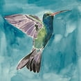 thumbnail image 2 of Popp, Grace 15x15 Black Ornate Wood Framed with Double Matting Museum Art Print Titled - Watercolor Hummingbird I, 2 of 4