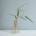 thumbnail image 4 of MasteelfCA Transparent Modern Gold Plated Flower Plant Container Creative Terrarium Ceometric Shape Flowerpot for Room Home Wedding Decor(Gold), 4 of 7
