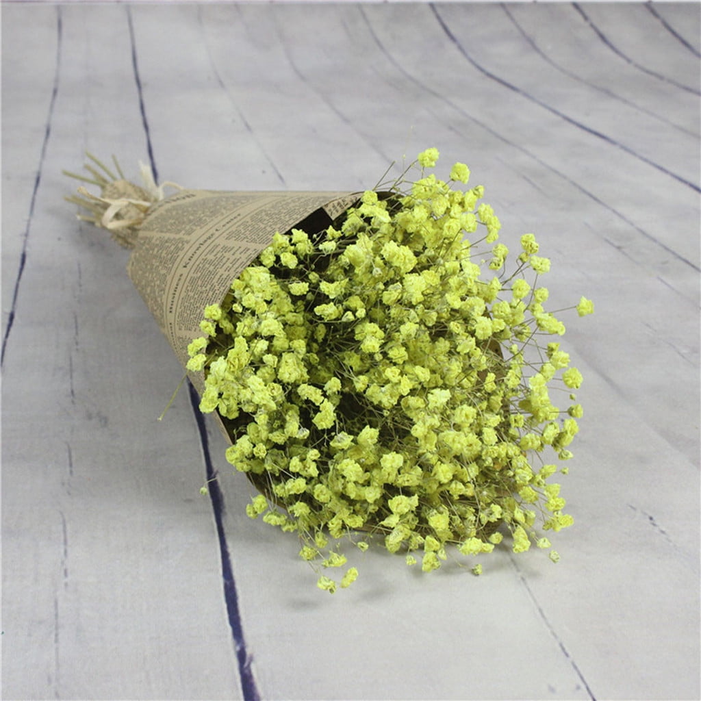 Follure Natural Dried Flower Baby S Breath Natural Dried Flower Full Stars Gy Walmart Com Walmart Com Follure Natural Dried Flower Baby S Breath Natural Dried Flower Full Stars Gy Walmart Com Walmart Com