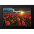 thumbnail image 2 of Podt, Martin 24x17 Black Modern Framed Museum Art Print Titled - Tulips at Sunset, 2 of 5
