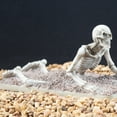 thumbnail image 2 of Penn-Plax Small Skeleton Resin Aquariums Decor for Fish Tanks and Terrariums - 5.35" Long, 2 of 6