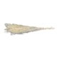 thumbnail image 3 of Gypsophila Bouquet Natural Dried Flower Decoration Dried Flower Holiday Gift, 3 of 5