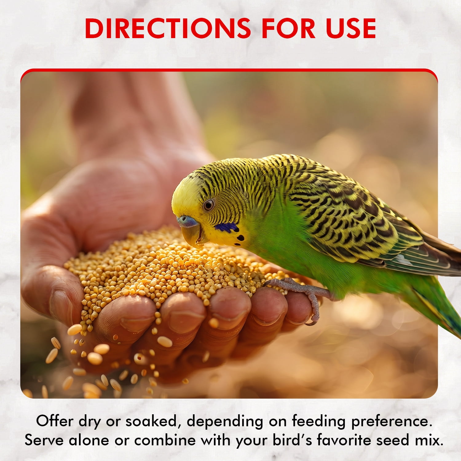 Morning Bird Hulled Millet 18 lbs (2-Pack, 9 lbs Each) – Bird Food for Parakeets, Finches & Canaries – Easy-to-Digest Millet Seed for Daily Nuupplements for Birds, Ideal Bird Feed for All Bird Types,