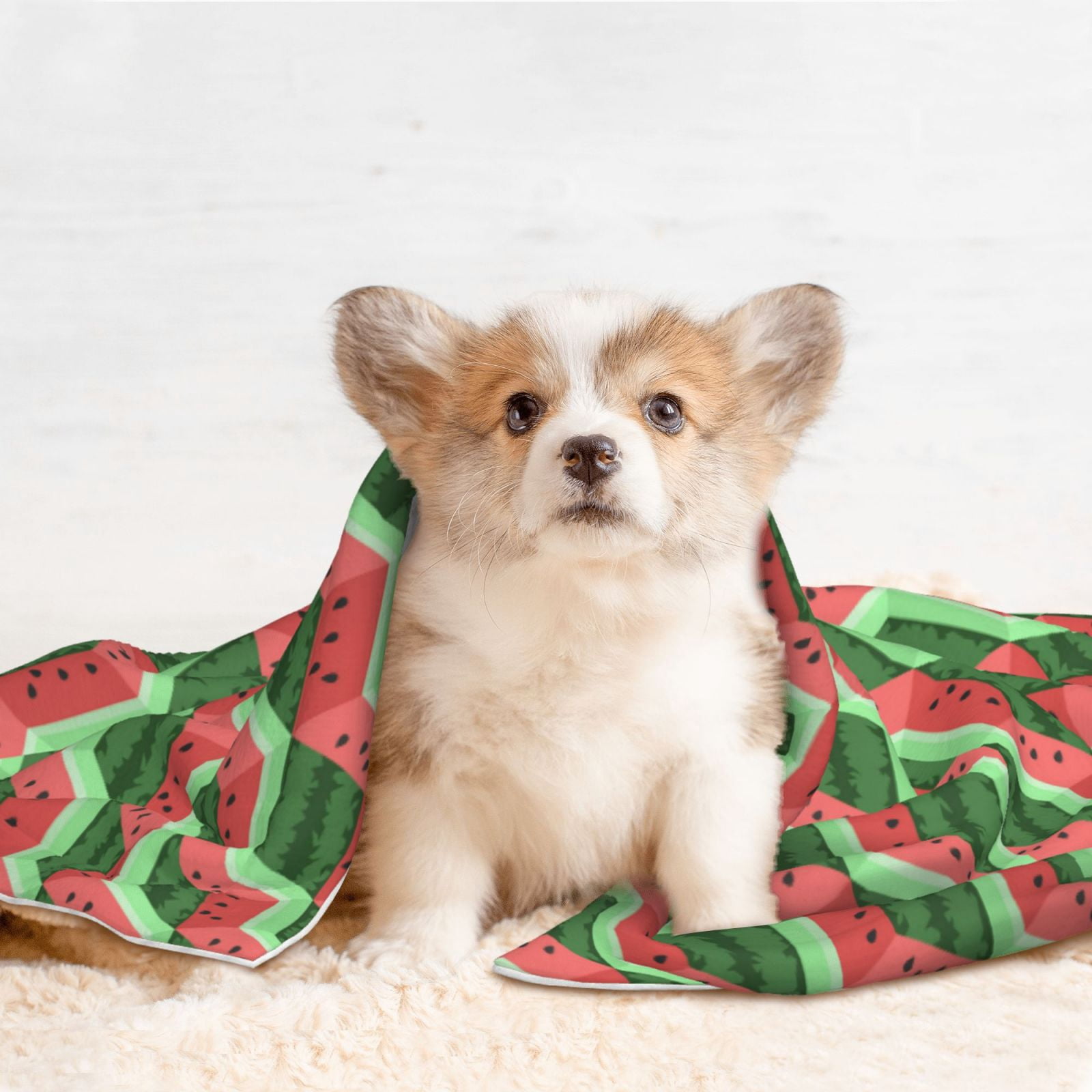 Naloa Geometric Watermelon Dog Blanket, 3 Sizes Cat Blanket for Indoor Cats Large Medium Small Dog Gifts-Medium