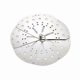 thumbnail image 1 of Stainless Adjustable Drop Lid Simmering Food Pot Cover Anti-Overflow Prevention Cover Steaming Rack, 1 of 5