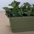 thumbnail image 5 of Bloem 18-in Wide Dura Cotta Resin Window Box Planter - Living Green, 5 of 6