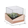 thumbnail image 4 of Vickerman FH180801 6 x 6 x 6 in. Assorted Succulents in Glass Wood Succulent Planter, 4 of 5