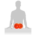 thumbnail image 4 of Pro Swim, Flipper Swim Safe Water Wings, 4 of 4