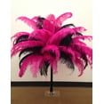 thumbnail image 3 of 18-24" (46-61 cm) 1/4 lb Shocking Pink Ostrich Feather Wedding Centerpiece decor - Spads, 3 of 3