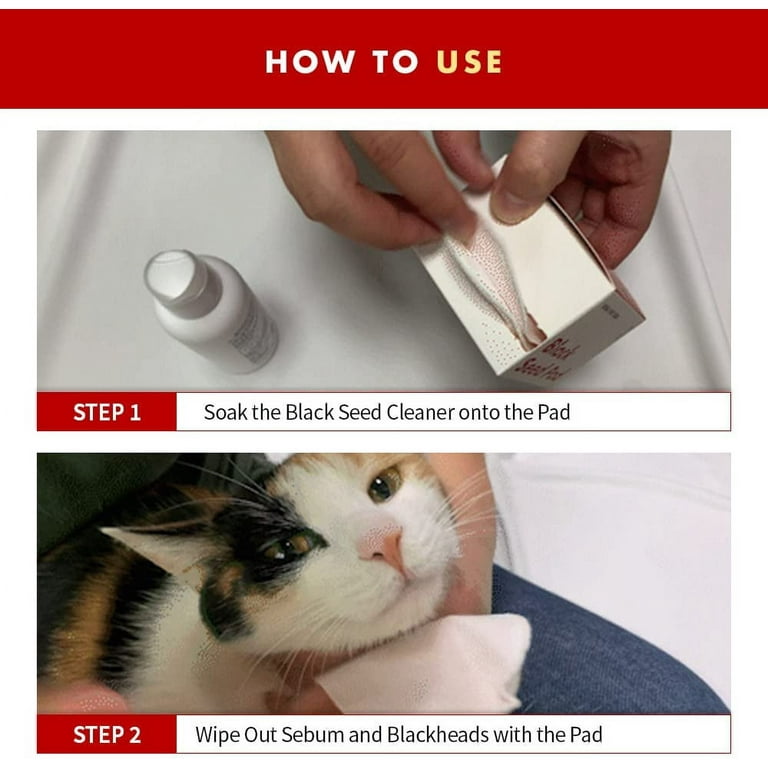 I cat care 2025