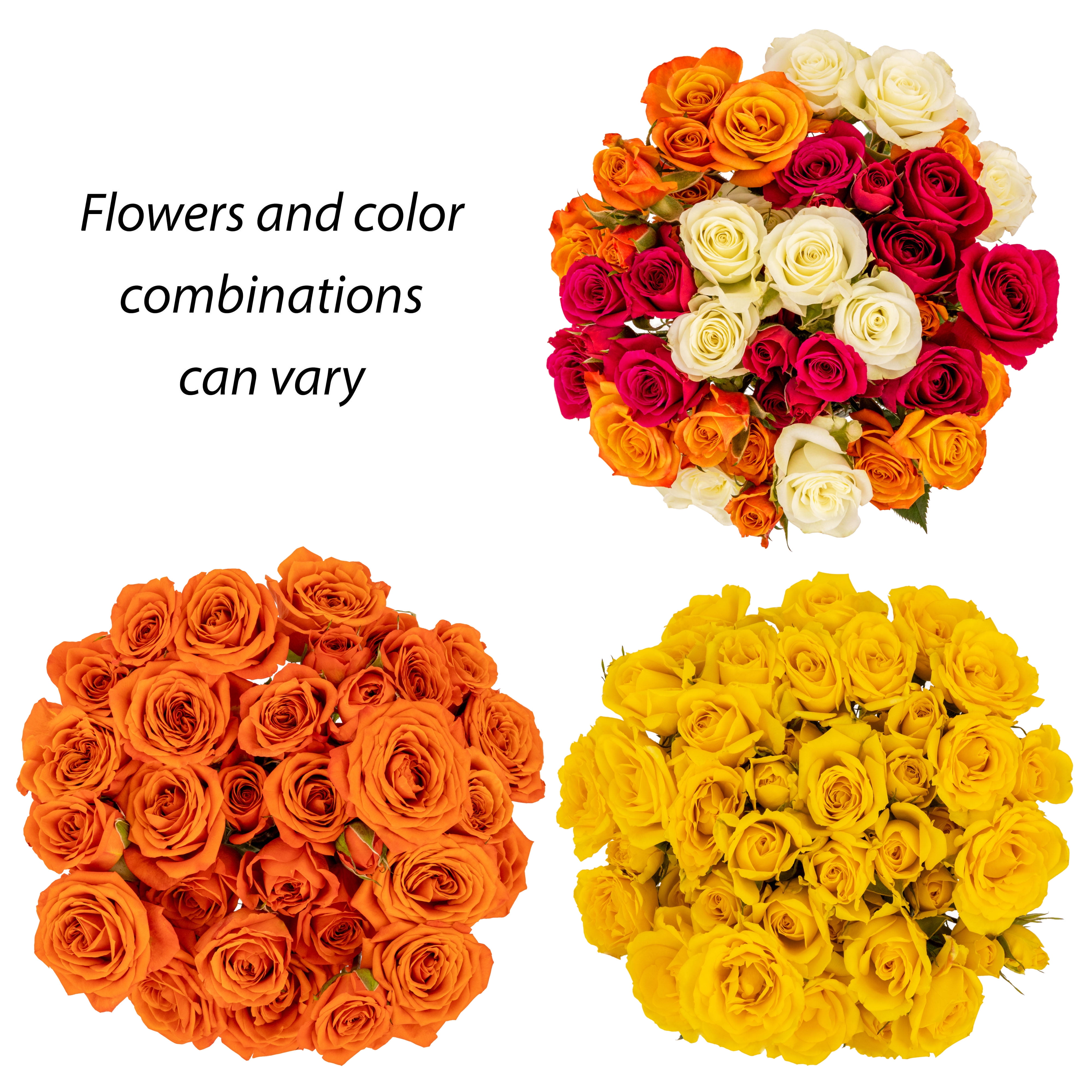 Fresh-Cut Spray Roses Flower Bunch, Minimum of 9 Stems, Colors Vary