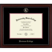 Ursinus College Diploma Frame, Document Size 17" x 13"