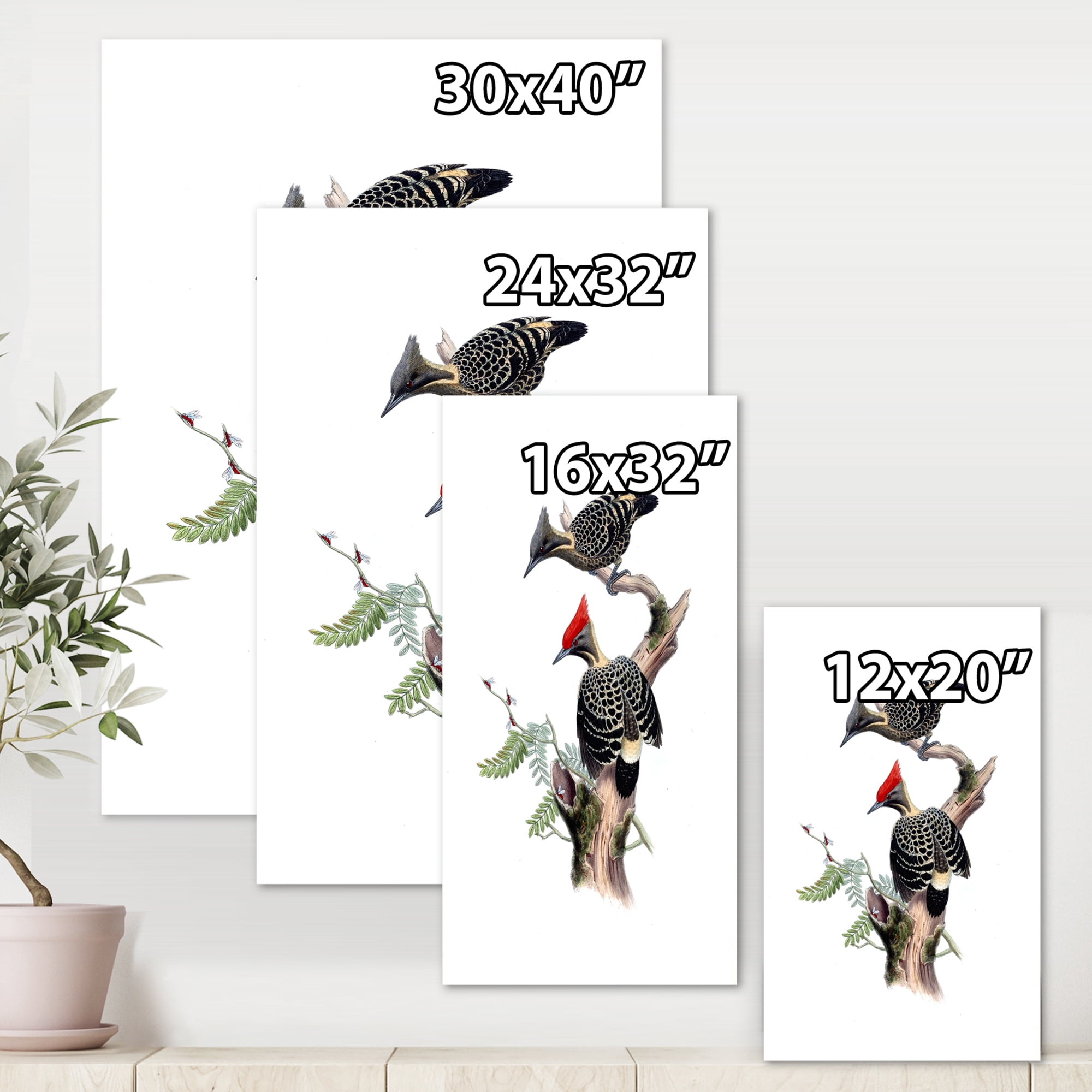 Designart ' Ancient Birds In The Wild VI ' Traditional Canvas Wall Art Print