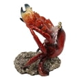 thumbnail image 4 of Ocean Marine Giant Stone Anthropod Crab With Black Claws Wine Bottle Holder, 4 of 9