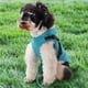 thumbnail image 4 of Methold El impermeable ligero y transpirable para perros mantiene a la mascota seca y elegante en climas lluviosos, fácil de limpiar. Ropa para mascotas rosa SG, 4 of 6