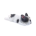 thumbnail image 1 of Adorable Perro De Resina Decoraciones sanales Para El Hogar Decoraciones De Escritorio De Juguete Blanco Soledad Sleeping Corgi Dog, 1 of 6