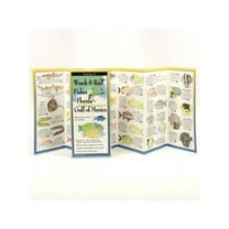 FoldingGuides: Wreck & Reef Fishes of Florida & Gulf of Mex. (Other)