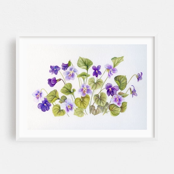 Wild Violets Botanical - Illustration Floral Botanical Flowers Nature Pastel White Framed Wall Art Print 12 x 18 inches