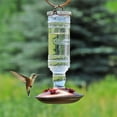 thumbnail image 2 of Perky-Pet Clear Antique Bottle Hummingbird Feeder, 2 of 7