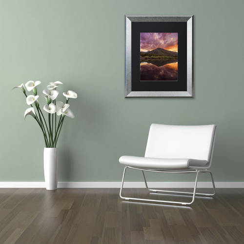 Trademark Fine Art "Glamor in the Sky" Canvas Art by Michael Blanchette Photography Black Matte, Silver Frame