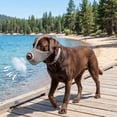 thumbnail image 5 of Dog Muzzle, Breathable Adjustable Dog Mouth Cover with Reflective Straps, Anti Bite Anti Bark Anti Scavenging Pet Muzzle for Small Medium Large Dogs, Grooming Training Walking Travel, 5 of 6