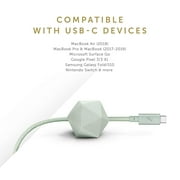 Native Union Desk Cable – USB Type C 8ft Ultra-Strong Non-Slip Fast Charging Cable (Sage)