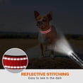 thumbnail image 5 of Collar de perro reflectante con hebilla de bloqueo de seguridad, collares de nailon ajustables para mascotas para cachorros, 5 of 5