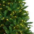 thumbnail image 5 of Nearly Natural Valley Clear Prelit LED Green Decorated Fir Christmas Tree, with 2093 Bendable Branches 9', 5 of 10