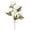 White, variant on Stem with Single Autumn Peony Artificial Flower, Large Faux Bloom for Fall Floral Arrangement Wedding Bouquet and Elegant Home Table Decoration