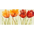 thumbnail image 2 of OToole, Tim 32x17 Black Ornate Wood Framed with Double Matting Museum Art Print Titled - Row of Tulips I, 2 of 4