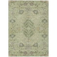 thumbnail image 2 of Addison Rugs Chantille Indoor/Outdoor Transitional Floral Aloe Washable Rectangle Rug, 2'6" x 3'10", 2 of 6