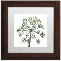 Trademark Fine Art "Nature's Amazing Wonder" Canvas Art by Kurt Shaffer, White Matte, Wood Frame