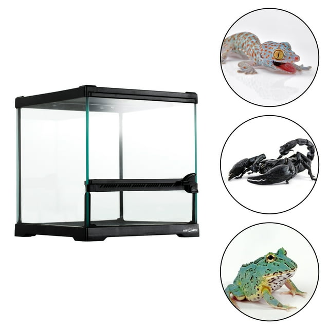 Terrario de vidrio para reptiles REPTI ZOO Terrario armado serie RHK Chico 9 Lt 21cm X 21cm X 20cm