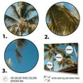 thumbnail image 3 of Designart "Palm Trees landscape II" Floral Floater Framed Wall Art Print, 3 of 7