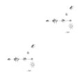 thumbnail image 3 of QualitChoice 1 Set Star Decorations Household Interesting Exquisite Stars Pendant Party Supply Craft Decoration Decor Props for Layout Silver 2Set, 3 of 6