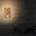 thumbnail image 2 of Yayeee LED Night Lights with Motion Detectors Auto Dusk to Dawn Light Sensors, 2 Pack, Metallic Flower, 2 of 7