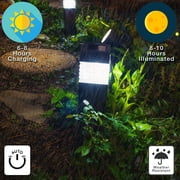 Column Solar LED Pathway Light - 4 Pack