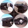 thumbnail image 3 of 2PCS Resin Crafts Ornament Sand Table Skull Coffin Aquarium Fish Tank Decoration, 3 of 7