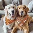 thumbnail image 5 of Fall Dog Bandana 2 Pack Thanksgiving Dog Bandana Polka Dot Pet Scarf Reversible Fall Triangle Bibs Soft Cotton Boy Girl Dog Bandanas Accessories for Small, Medium, Large Dogs (Large), 5 of 5