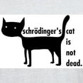 thumbnail image 3 of CafePress - Schrödinger's Cat Tee T Shirt - Men's Classic Graphic T-Shirt, 3 of 4