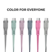 Liquipel Powertek Two Tone USB-A to USB-C - Purple